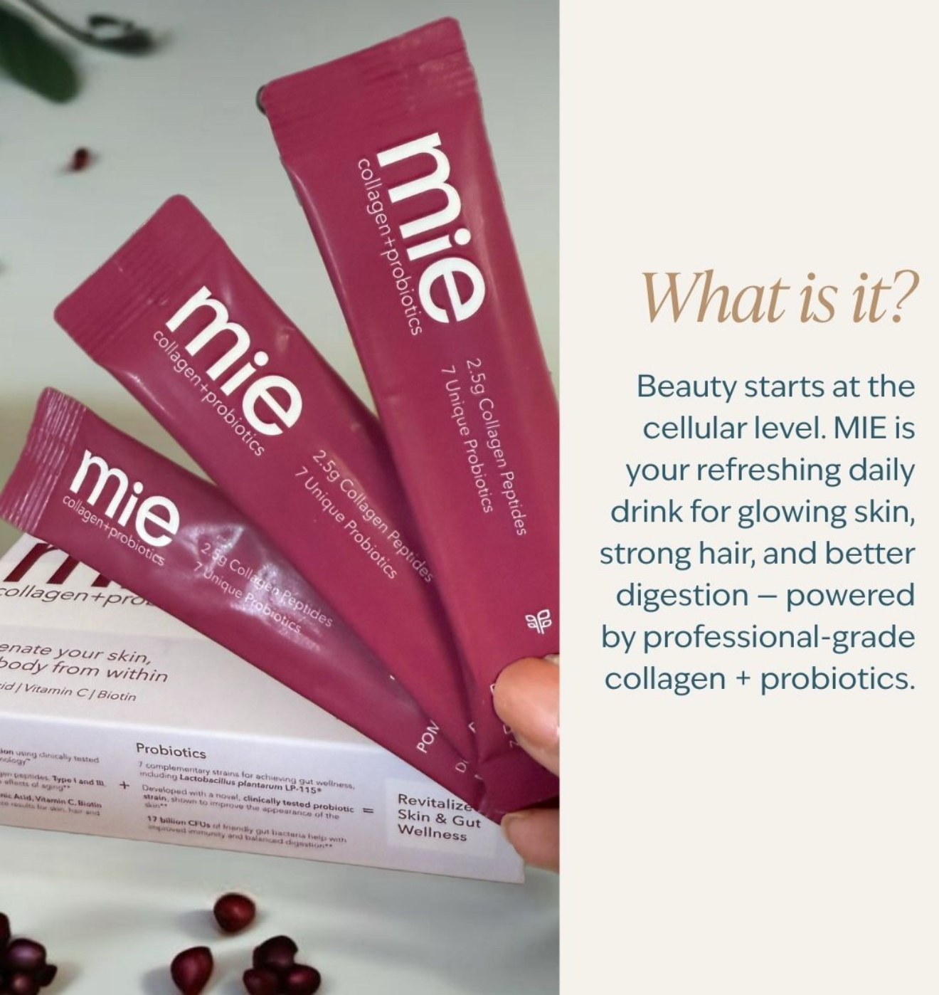 Mie Collagen + Probiotics