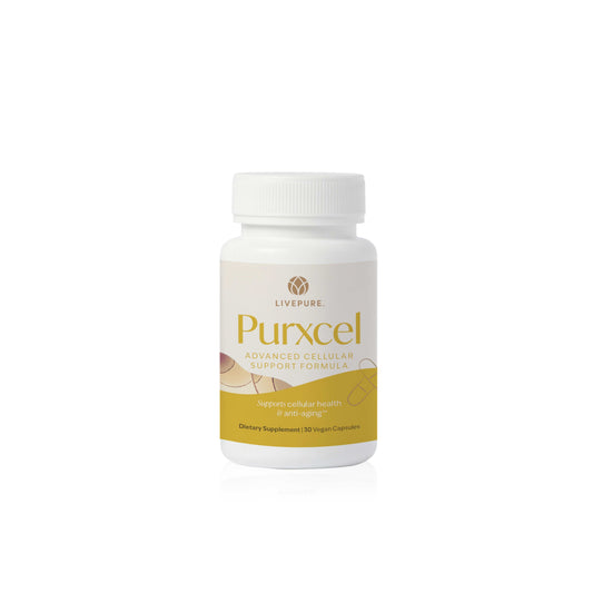 PurXcel